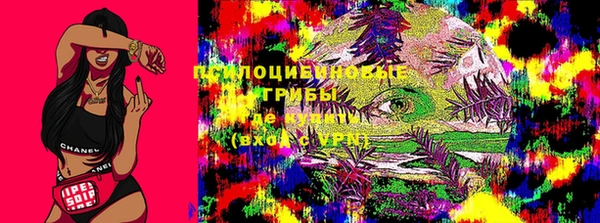соль курить ск Алзамай