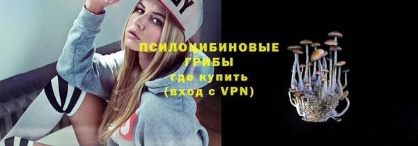 синтетический гашиш Алексеевка