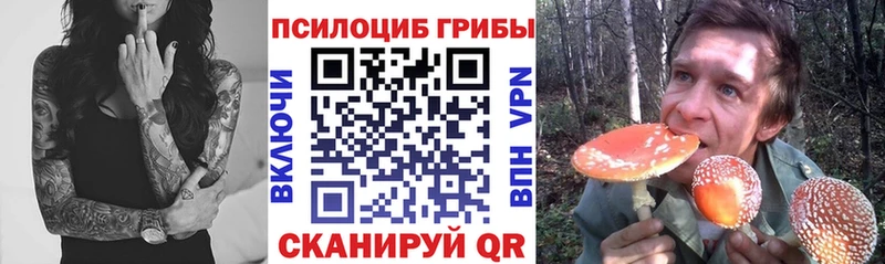ОМГ ОМГ онион  где можно купить   Орёл  Псилоцибиновые грибы MAGIC MUSHROOMS 
